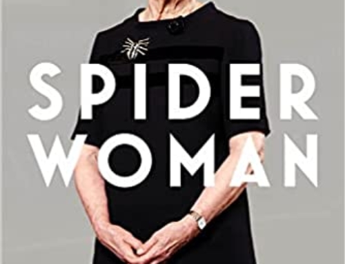 Spider Woman by Lady Hale